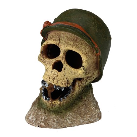 Soldier skull