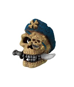 Pirate skull knifeface
