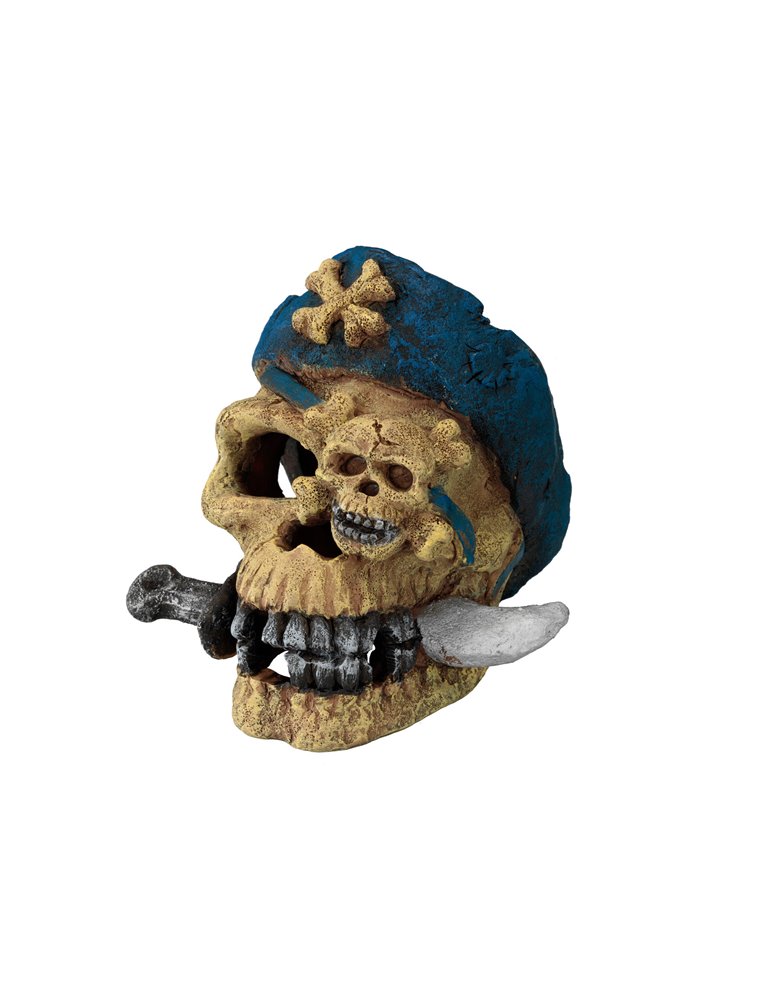 Pirate skull knifeface