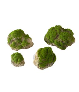 Moss stone with suction cup