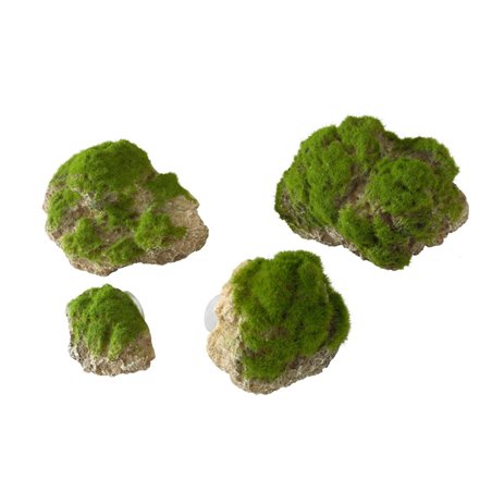 Moss stone with suction cup