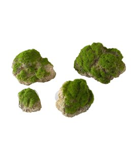 Moss stone with suction cup