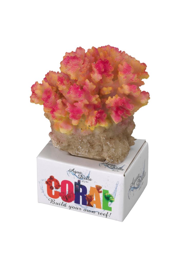 Coral module pocillopora