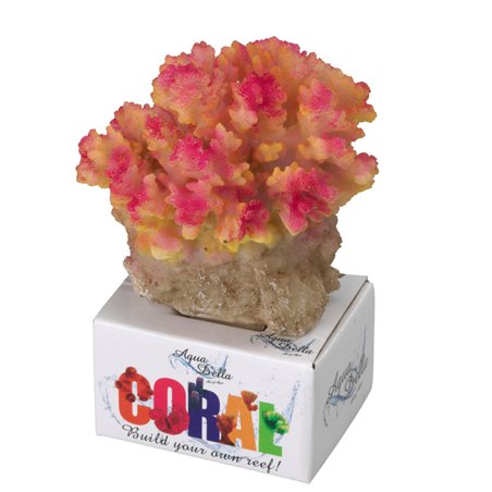 Koraal module pocillopora - 8x6,5x7,5cm
