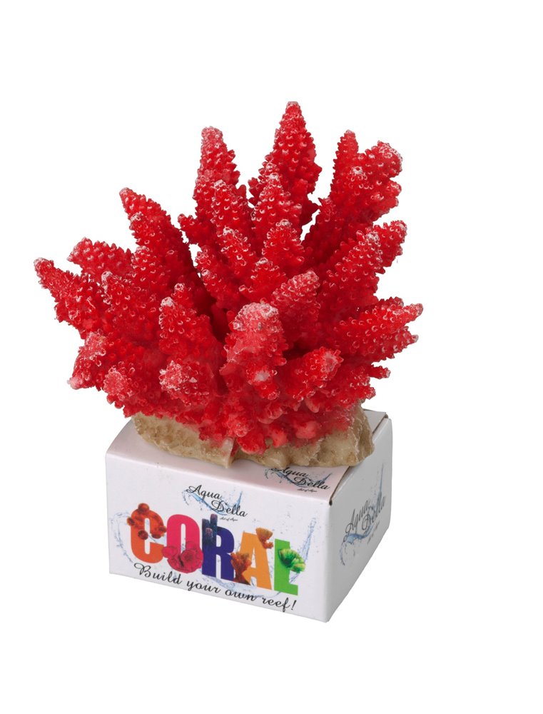 Coral module acropora