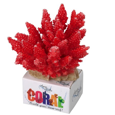 Koraal module acropora - 11,5x10,5x9cm