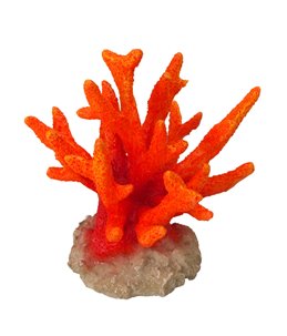 Coral seriatopora