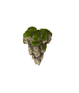 Floating rock with sucker no.1