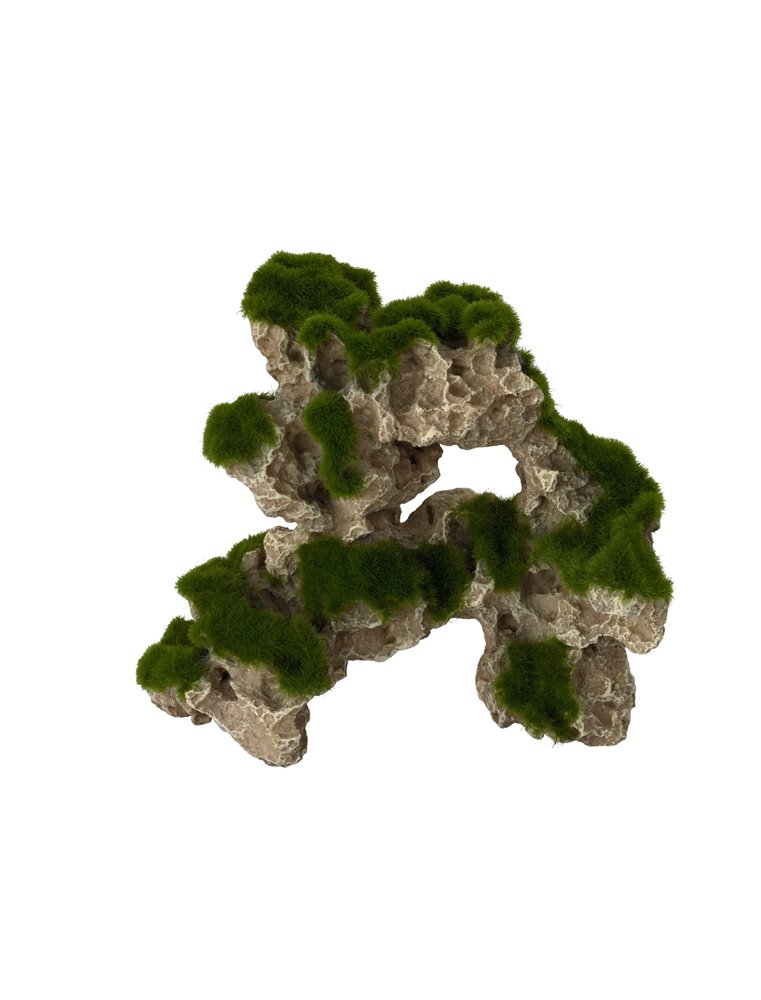 Moss rock 1