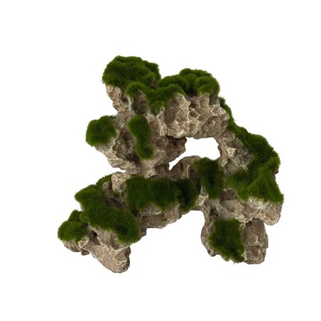 Moss rock 1
