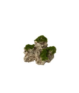 Moss rock 2