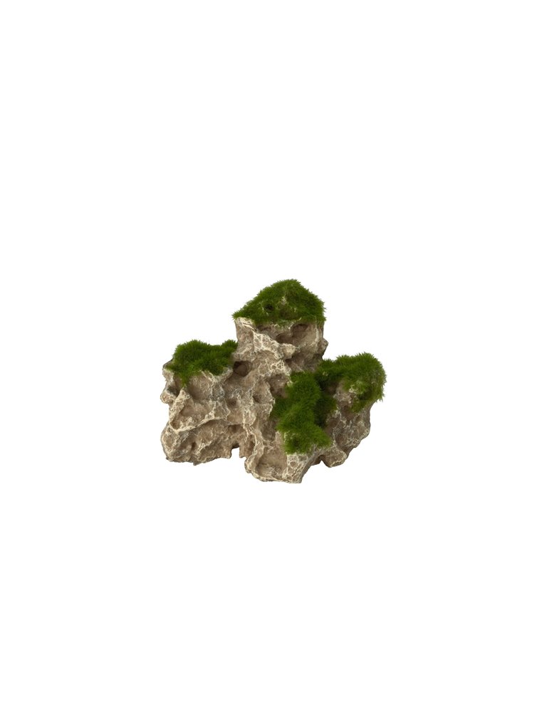 Moss rock 2
