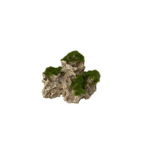 Moss rock 2