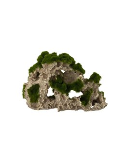 Moss rock 3