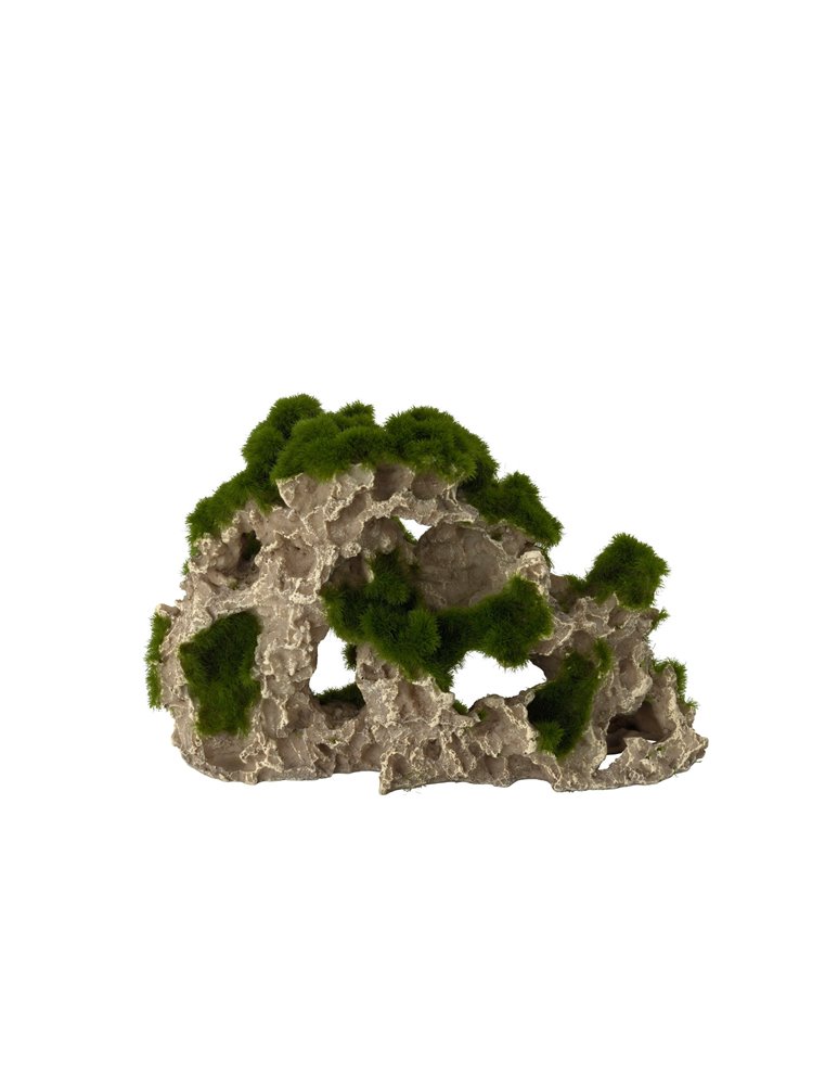 Moss rock 3