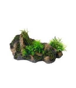 Aquascape combo 3