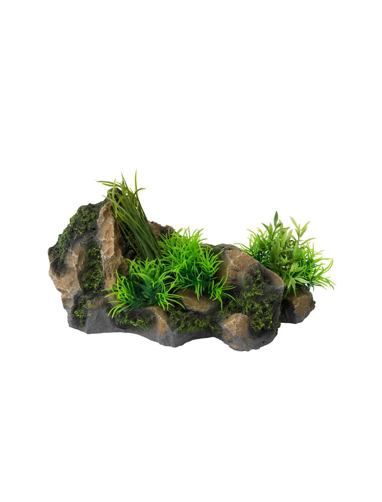 Aquascape combo 3