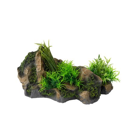 Aquascape combo 3