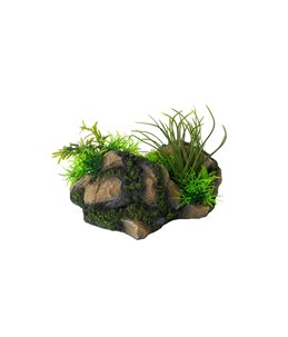 Aquascape combo 4