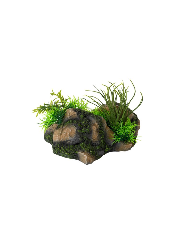 Aquascape combo 4