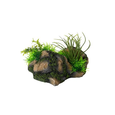 Aquascape combo 4