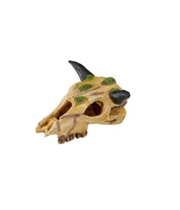 Carabaoskull