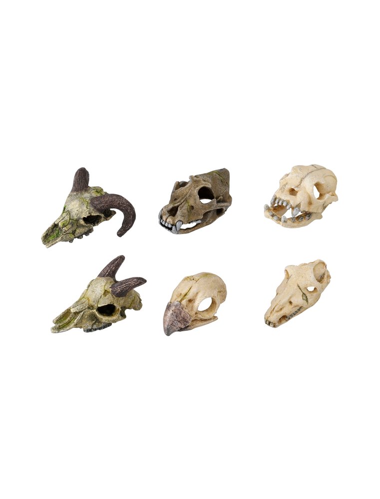 Skullmini assorted