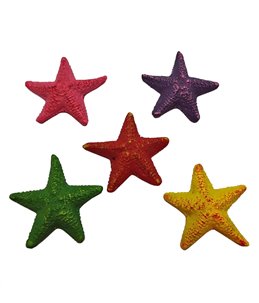 Decoration starfish