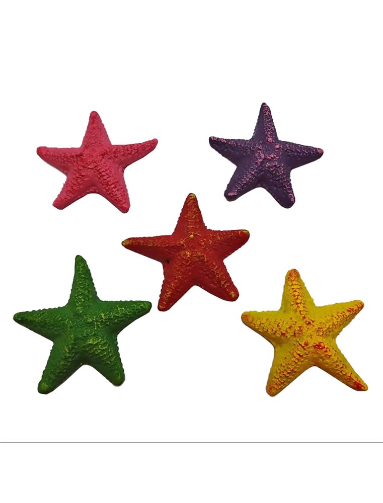 Decoration starfish