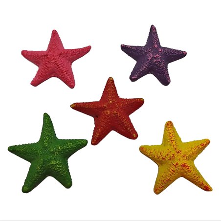 Decoration starfish