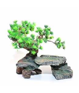 Decoration rock with bonsai