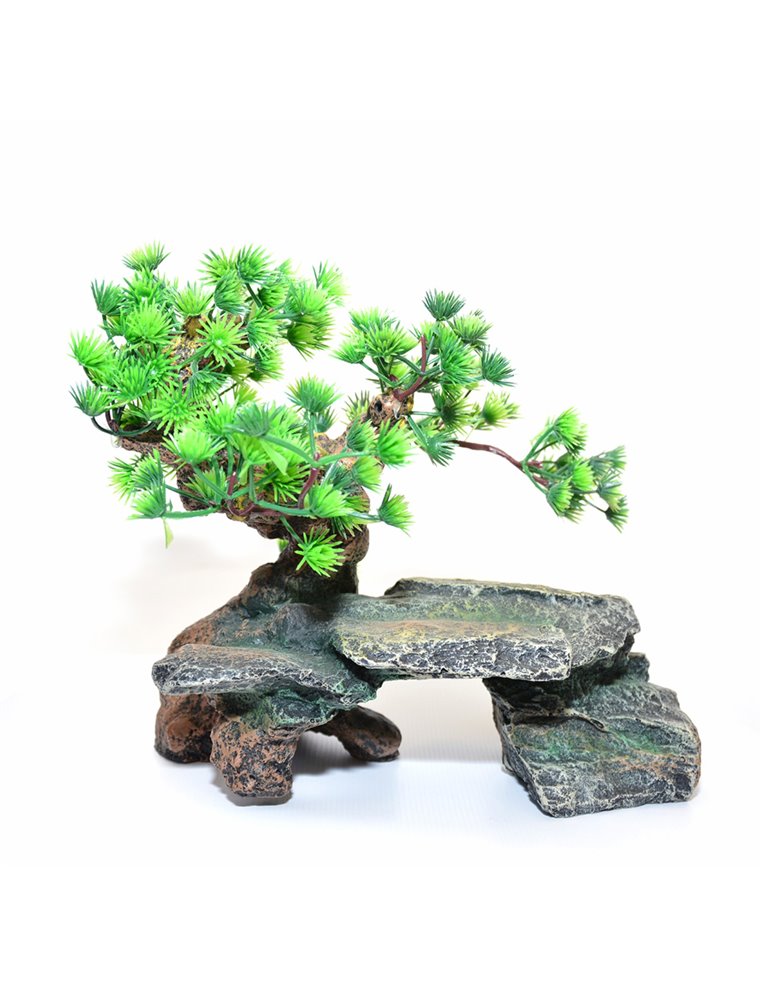 Decoration rock with bonsai