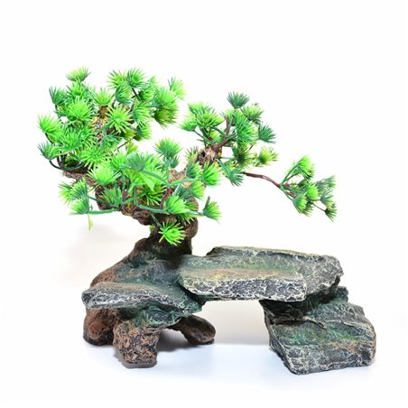 Decoration rock with bonsai