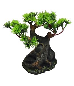 Decoration pine tree