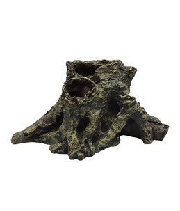 Decoratie boomwortel