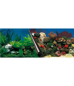 Poster achterwand stone & coral