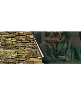 Poster achterwand tree & rock