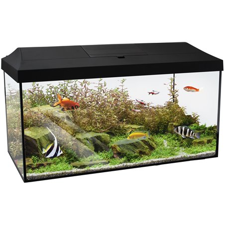 Aquariumset mindoro 60cm