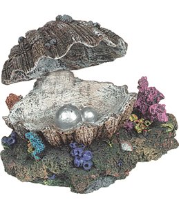 Decoratie schelp (beweging)