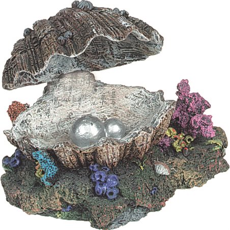 Decoratie schelp (beweging) 