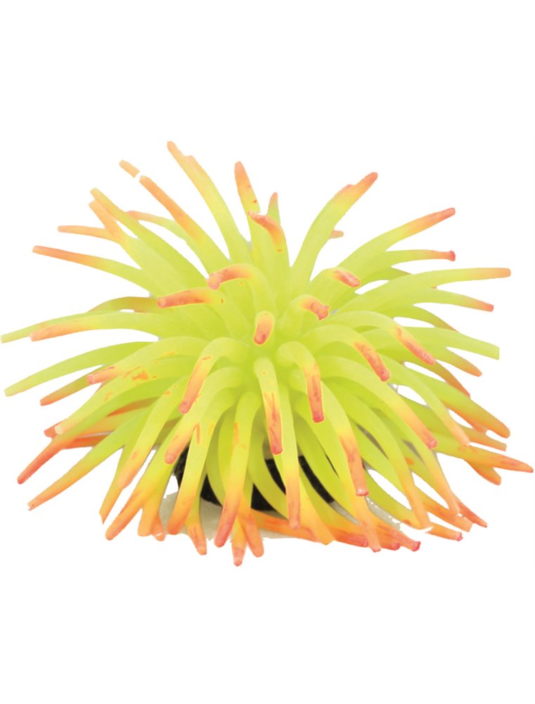 Decoratie anemoon ass. - m