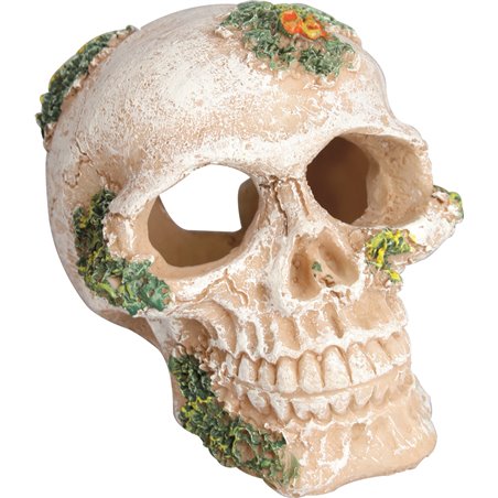 Decoratie skull 