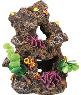 Decoratie rif met planten