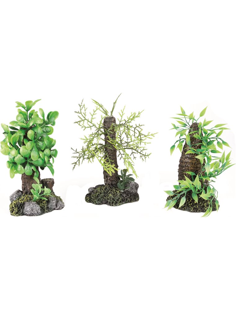 Decoratie mini-boompjes - ass