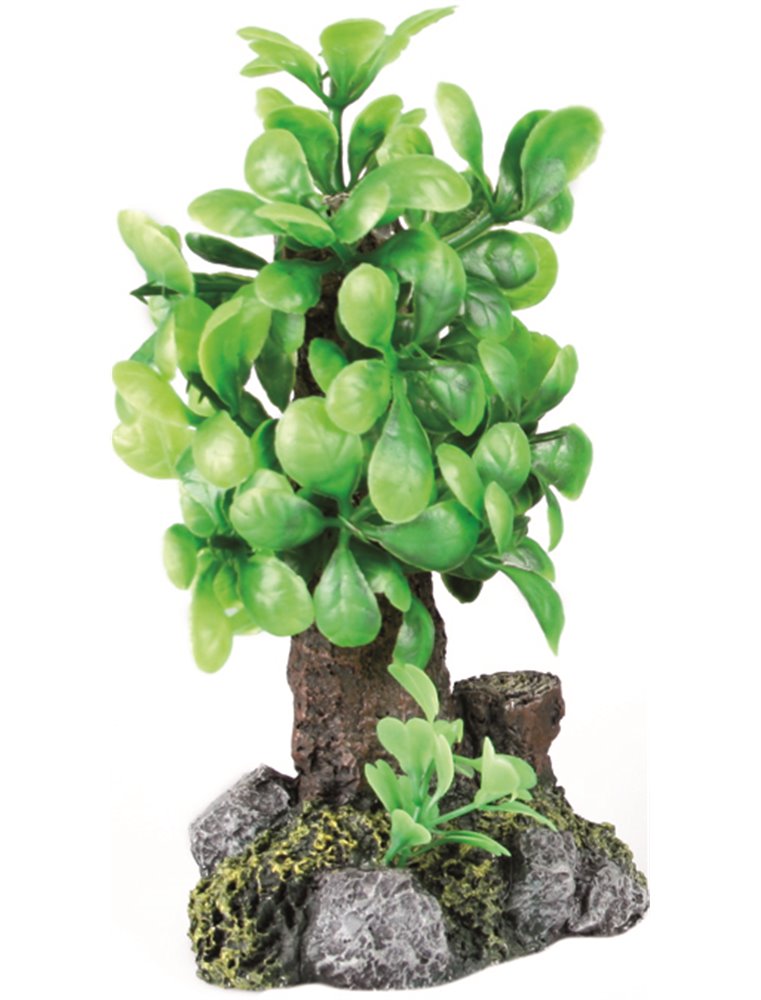 Decoratie mini-boompjes - ass