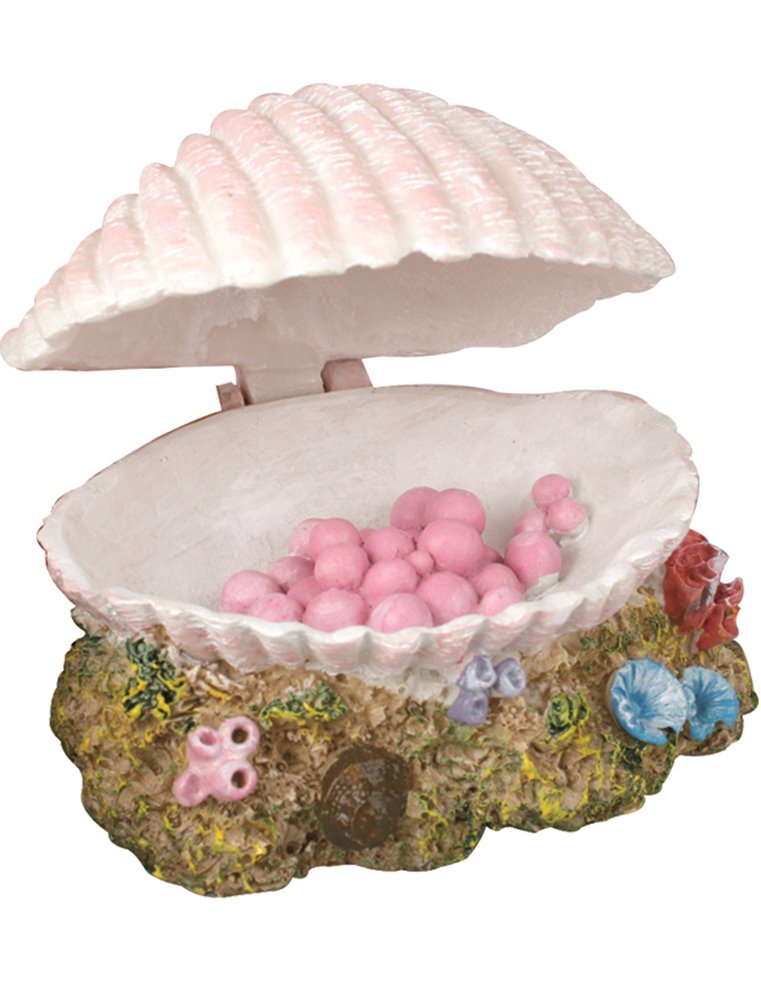 Decoratie schelp met parels - s
