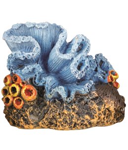 Decoratie kleine koraal - ass
