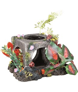 Decoratie kubus plantjes medium 