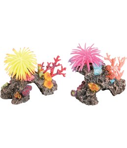 Decoratie rif met anemoon 