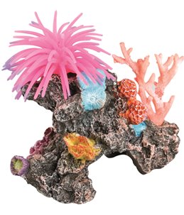 Decoratie rif met anemoon